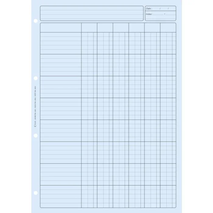 BLOC AUDIT BLEU : Feuilles de comptes 6 colonnes (Elve)