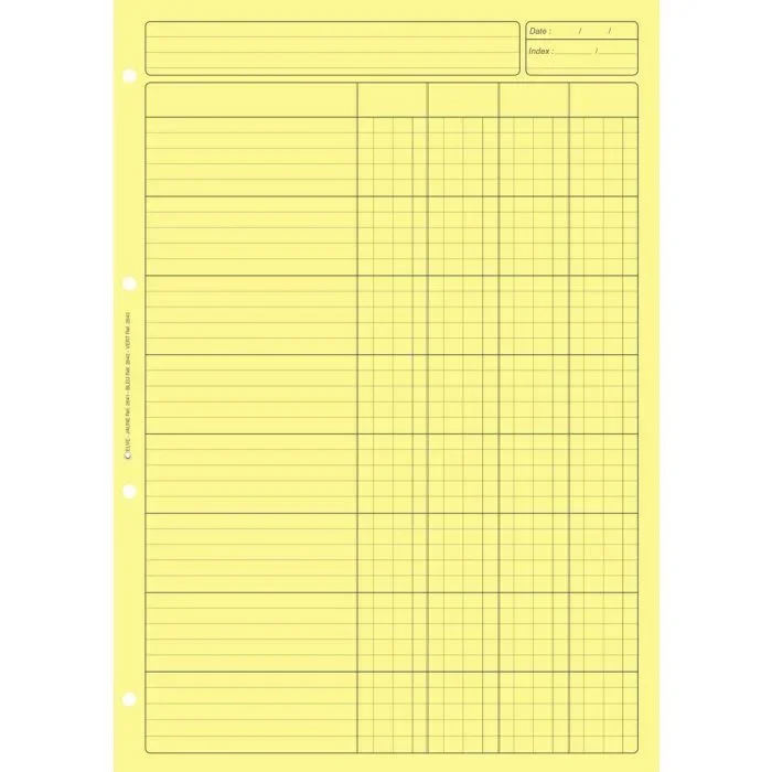 BLOC AUDIT JAUNE : Feuilles de comptes 4 colonnes (Elve)