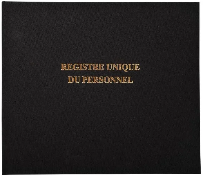 EXACOMPTA 6621E Registre unique du Personnel