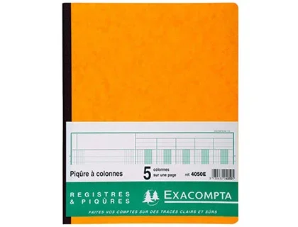 Exacompta – Piqûre comptable – 5 colonnes par page – 32 x 25 cm – 80 pages