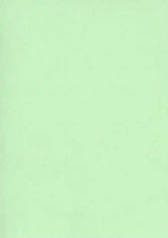 Fiches Bristol Unies A5 – 148 x 210 mm – Vert ELVE Lot de 100
