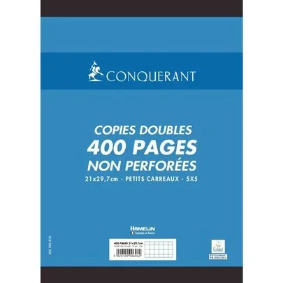 Sachet de 100 copies doubles non perforées format A4 (21 x 29,7 cm) quadrillé 5×5 70 g