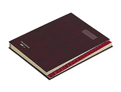 Trieur alphabétique 20 compartiments A-Z Extendos 24x32cm dos extensible coloris noir